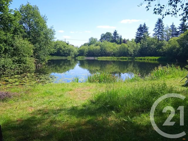 Terrain à vendre - 10000 m2 - Le Pertre - 35 - BRETAGNE